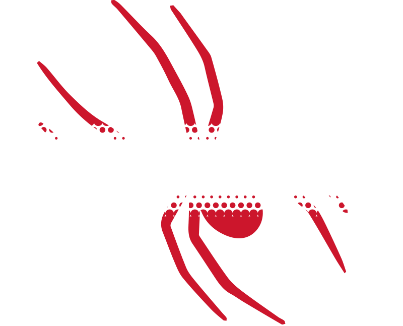 Frontline Pest Control