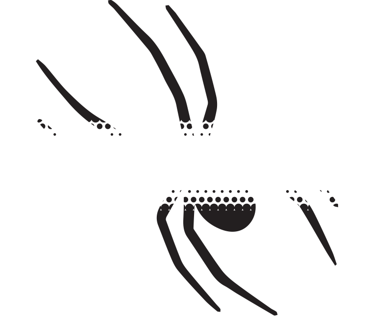 Frontline Pest Control